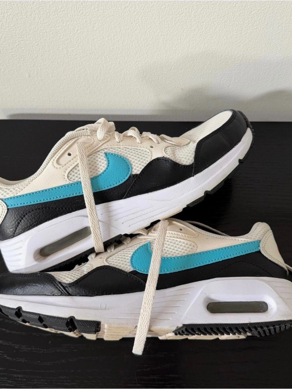 Nike Air Max SC Sneakers